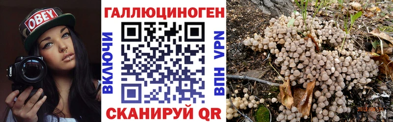 Купить закладки  Советск  Псилоцибиновые грибы Psilocybine cubensis 